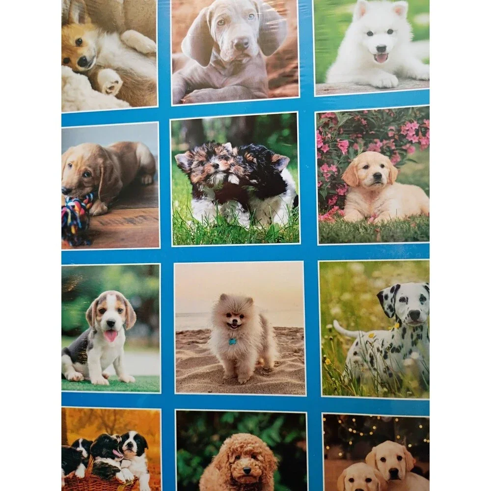 2027 New Wall Calendar Puppies 2 Pack 12
